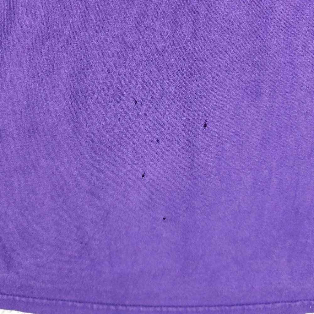 Harley-Davidson Twin Cities Minnesota T-Shirt‎ Menx XL Purple Viking Flames 2010